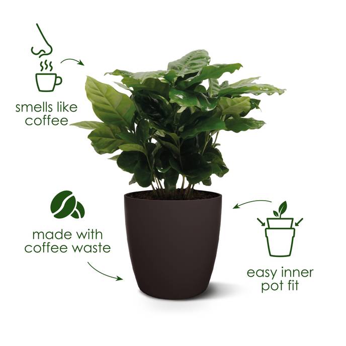 the coffee collection round 14cm espresso brown